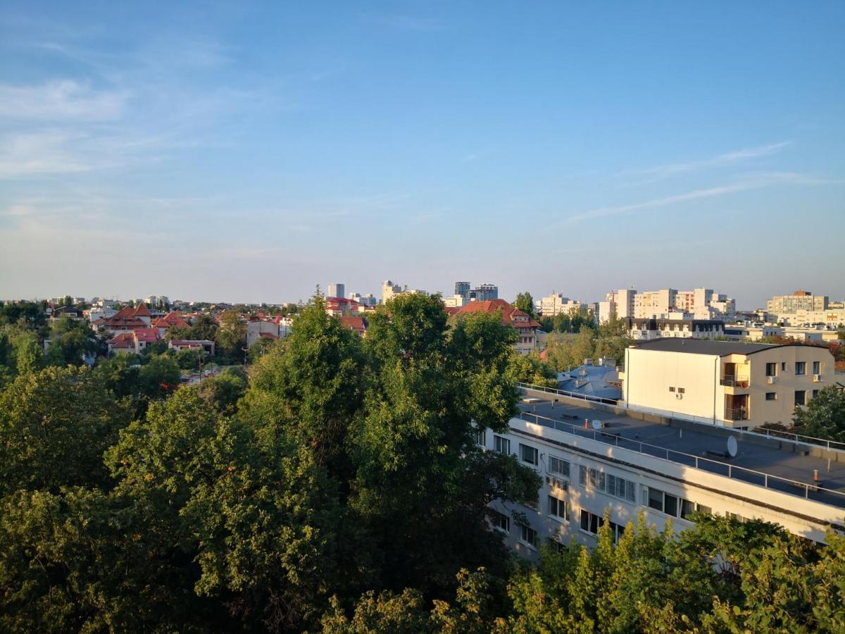 Studio Piata Victoriei Bucarest Exterior foto